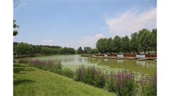 標(biāo)題：包頭市民公園
瀏覽次數(shù)：1658
發(fā)表時(shí)間：2020-10-16