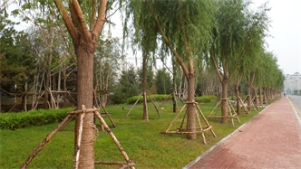 標(biāo)題：通遼市勝利北路道路景觀綠化
瀏覽次數(shù)：1647
發(fā)表時(shí)間：2020-10-16