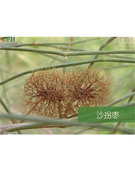標題：名貴樹種
瀏覽次數：1648
發表時間：2020-10-17
