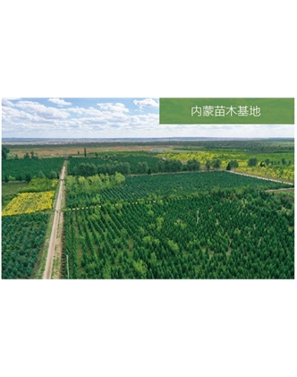 標題：苗木基地
瀏覽次數：2077
發表時間：2020-10-17