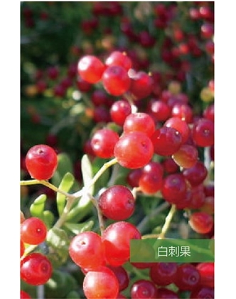 標(biāo)題：名貴樹種
瀏覽次數(shù)：1531
發(fā)表時(shí)間：2020-10-17