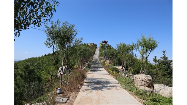 標題：張家口太子山山體修復
瀏覽次數：18398
發表時間：2020-11-12